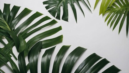 Vibrant tropical leaves arranged on a white background, with space for text or design.