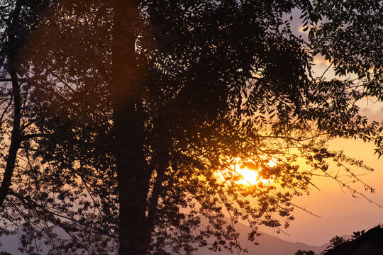 Por do sol atras da &aacute;rvores