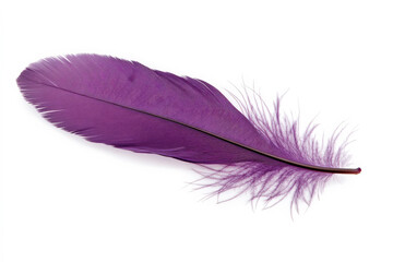 A rich purple feather with soft edges and intricate details, floating gently against the white backdrop.