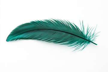 A single emerald green feather with sharp details, gently curving against a clean white background.