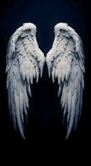 wings, feathers, angel wings, long wings, devil wings, wide wings, wing wallpapers, wing background, fairy wings, angel, art wings, long feathers