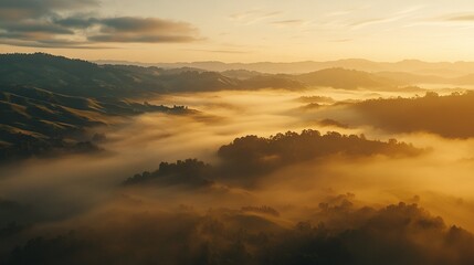 Fototapeta premium An aerial view of a foggy valley with trees in the foreground and sunlight piercing through cloudy skies