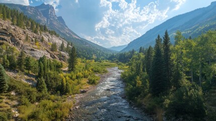 Obraz premium Utah's Uinta-Wasatch Forest's Provo River view