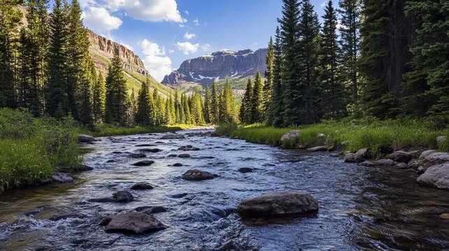 Provo River in Utah's Uinta-Wasatch Forest