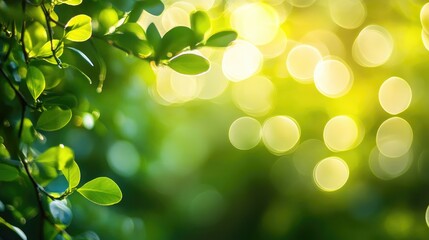 Fototapeta premium Fresh green background with a subtle bokeh effect, adding a touch of depth and sophistication