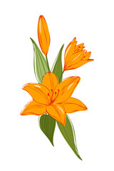 Orange lilies, flower arrangement, vector color element for the design of invitations, postcards.