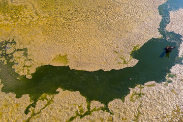 The lake at Kato Scholari, a little outside Thessaloniki, Greece, turned into a desert.