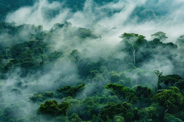 A dense forest with a thick fog covering the trees, generative ai image