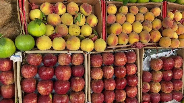 An Elegant View of a Local Fruit Shop in Multan Pakistan