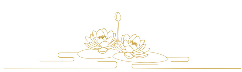 chinese lotus flowers line art illustration. water lily vector element background