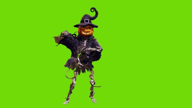 Funny pumpkin Jack o lantern with skeleton body in old torn robe dancing on green screen. Halloween 3D animation for greeting cards, invitations, posters, events, parties