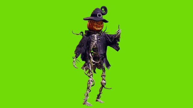 Funny pumpkin Jack o lantern with skeleton body in old torn robe dancing on green screen. Halloween 3D animation for greeting cards, invitations, posters, events, parties