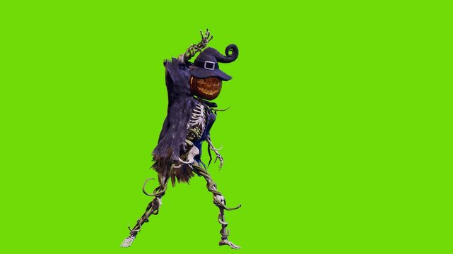 Funny pumpkin Jack o lantern with skeleton body in old torn robe dancing on green screen. Halloween 3D animation for greeting cards, invitations, posters, events, parties