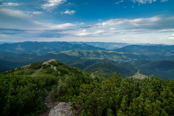 Fototapeta premium view of the view of Chornohirskyi ridge, peaks of the Carpathian Mountains, tourist routes in dwarf pines