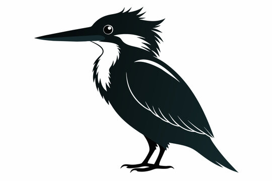 recommend clip art: A silhouette image kingfisher bird vector art illustration