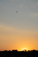 voando no pôr do sol