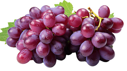 red grapes isolated on white