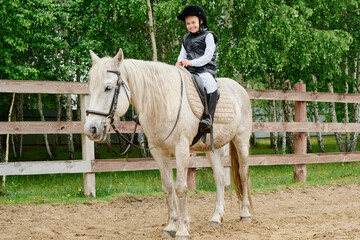 Smiling girl sitting on white horse in paddock surrounded by green trees promoting joy and outdoor...