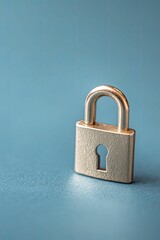 Fototapeta premium Dynamic Data Privacy Protection Strategies for Modern Enterprises