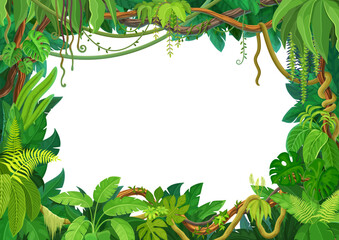 Tropical liana frame of jungle forest ivy branches or creeper plant vine, cartoon vector background. Tropical liana frame or rainforest jungle bindweed tree borders or hedera vine and monstera leaves © Vector Tradition