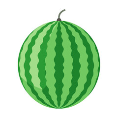 Illustration of a whole watermelon with green stripes on a white background