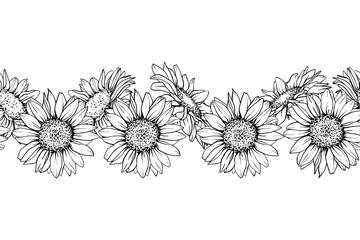 Sunflower seamless border. Hand draw Sketch pen and ink vintage vector illustration on white background. Botanical graphic engraving design