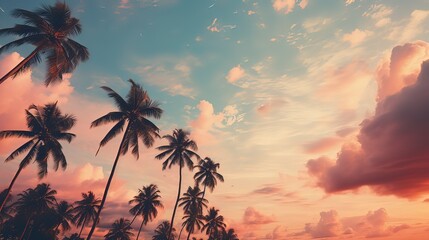Obraz premium Palm trees with the phrase dont ever call home