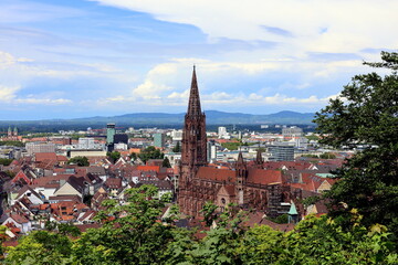 Das Freiburger Münster im Sommer