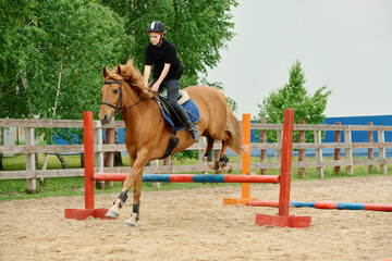 Young rider on brown horse mid-jump over brightly colored obstacle on sandy training ground with...