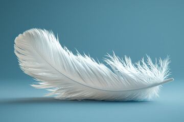 Obraz premium A single white feather gently resting on a clean, smooth surface, highlighting the beauty of minimalism. Concept of purity and simplicity.