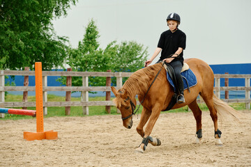 Young rider practicing equestrian skills on brown horse in outdoor sand arena with trees and blue...
