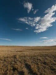 Expansive land under a clear blue sky, offering room for text or design.