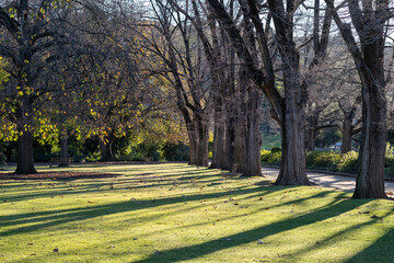 The Albury Botanic Gardens, and arboretum includes many native & exotic plant species in Albury, New South Wales, Australia.