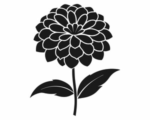 zinnia flower silhouette vector illustration on a white background