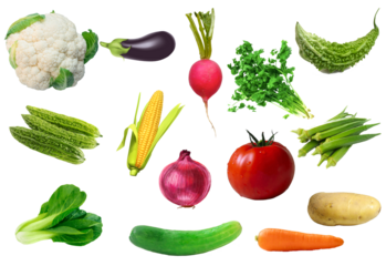 Assorted Fresh Vegetables Isolated on White Background