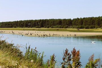 Récifs de la baie, avec des oiseaux en second plan