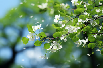 A gentle breeze rustling through the trees, carrying with it the promise of a peaceful day ahead. Concept of tranquility. Generative Ai.