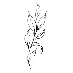 Branch with fresh leaves, elegant botanic, vintage style. For wedding, greeting cards, fabric, printing. Graphic vector line, hand drawn, black silhouette for cricut