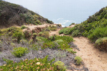 Naklejka premium Trail at Pt. Dume Natural Preserve overlooking the Pacific Ocean, California