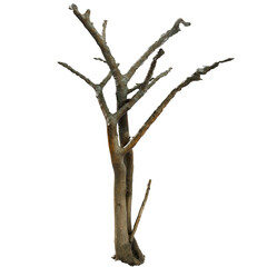 3d render branches tree trunk with transparent background