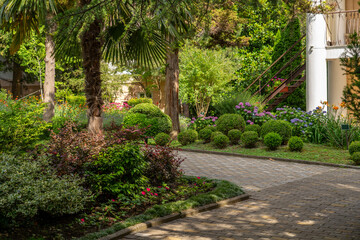 A beautiful pathway meanders through a vibrant garden filled with colorful flowers and perfectly trimmed shrubs under bright daylight