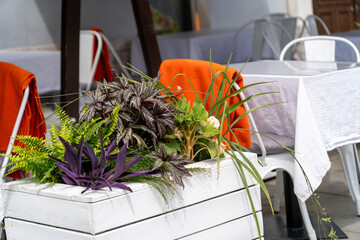 Colorful plants in wooden planters add charm to an outdoor café setting with orange cloths draped...