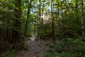 Shawangunk Ridge, New York, USA