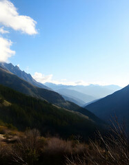 Naklejka premium with forested hills and valleys under a blue sky with clouds 