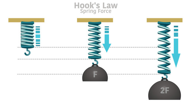 Hooke's law. Hookes, amount of force applied to an elastic object is proportional to how far it stretches. linear elastic materials. Flexible metal spiral physics springs diagram. Vector illustration
