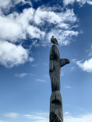 Seagull Perched On A Totem Of A Whale In New Zealand