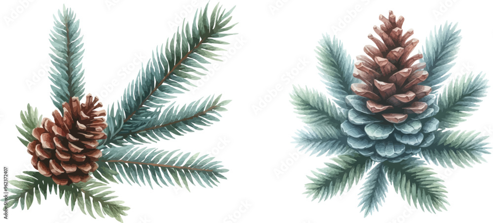 Poster Pine cone vector icons set.Christmas tree with green pine cone branches isolated on white baqckground. Fir tree branches with cones.