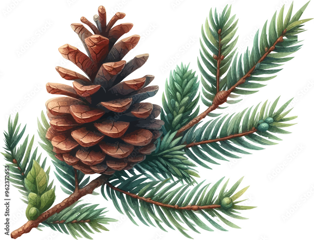 Poster Pine cone vector icon.Christmas tree with green pine cone branches isolated on white baqckground. Fir tree branches with cones.