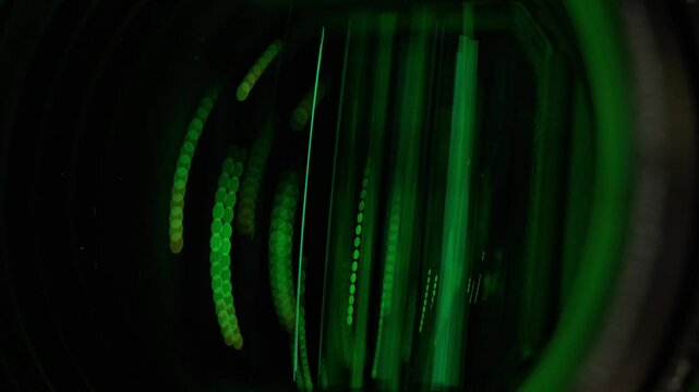 Cybernetic Reflections