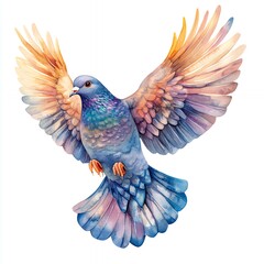 Obraz premium Watercolor illustration of a dove with spread wings flying against a white background.